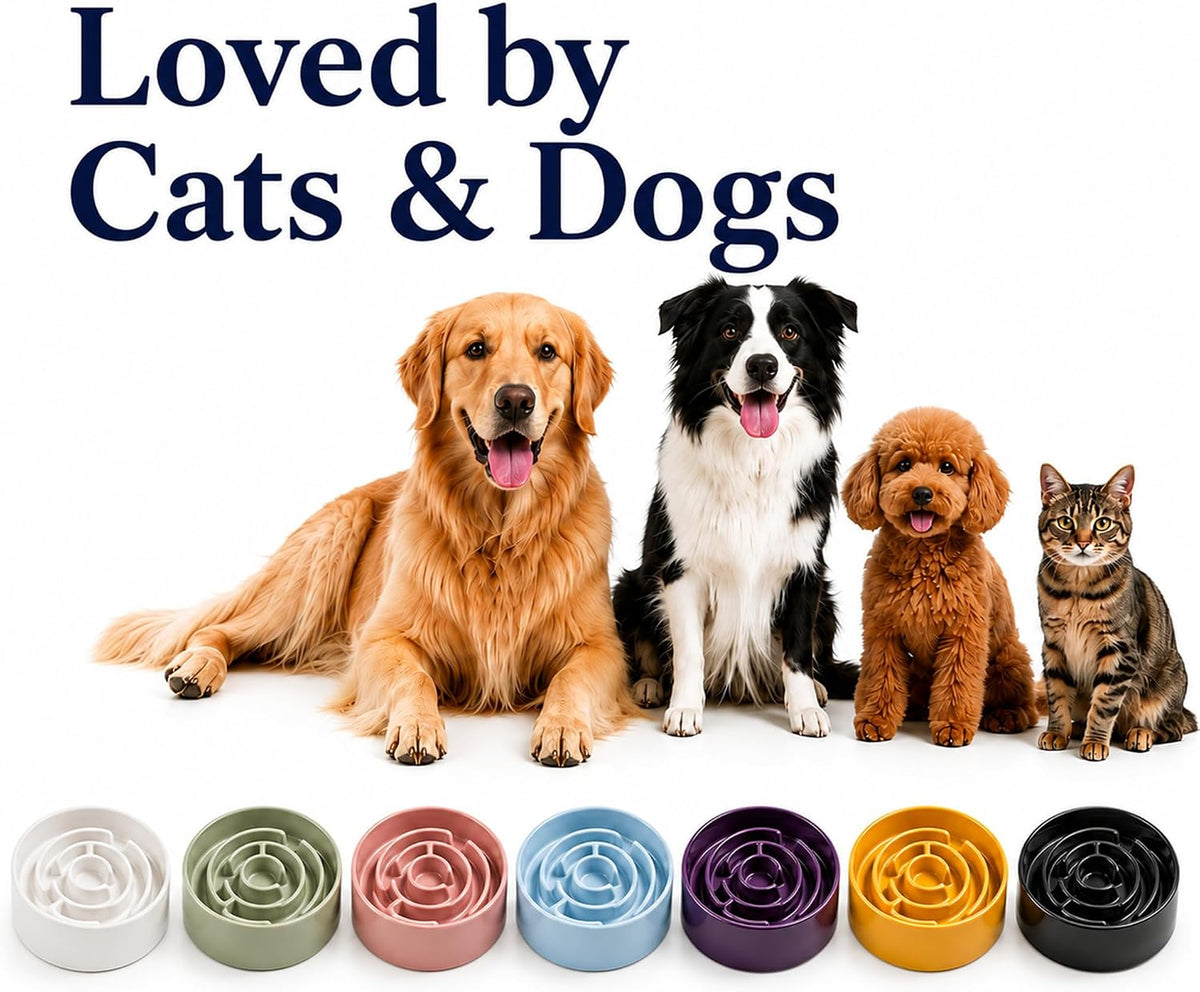 Ceramic Slow Feeder Dog Bowl 1.5 Cup Puzzle Dish for Small Medium Dogs