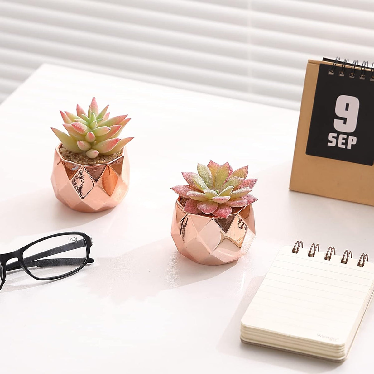 Tiita Mini Rose Gold Artificial Succulents in Pots for Desk and Shelf Decor