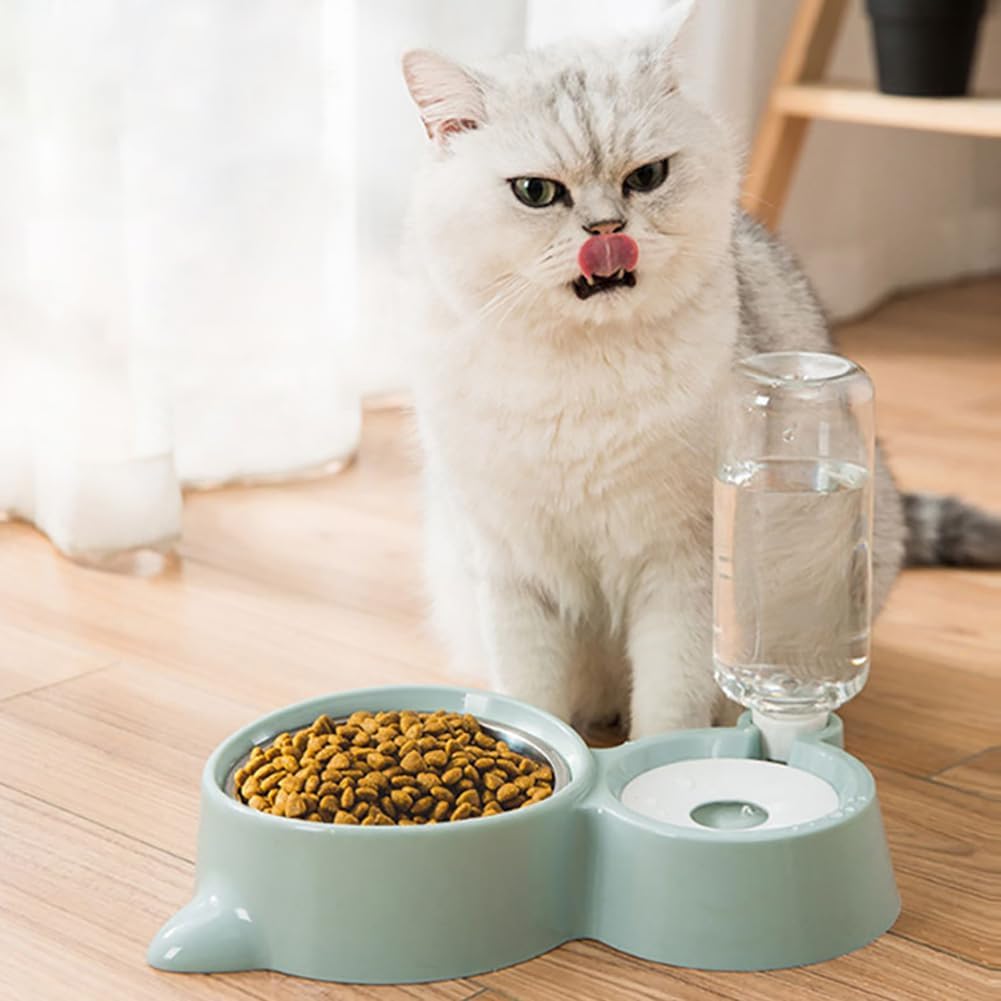 Dog Bowls, Cat Food and Water Bowl Set with Water Dispenser