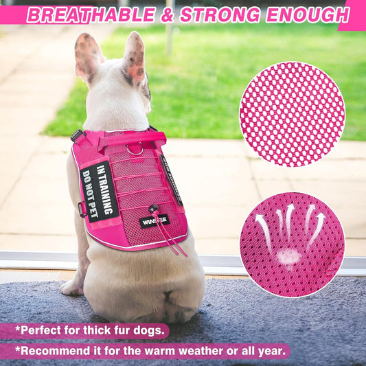Service Dog in Training Mesh Harness with 10 Removale Pet Patches