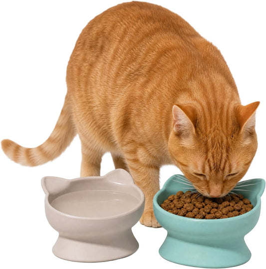 Elevated Cat Bowls (Set of 2), Whisker-Friendly Raised Cat Food & Water Dishes, Modern Pedestal Design, Dishwasher Safe, 6.5 oz Each – Pink & Teal