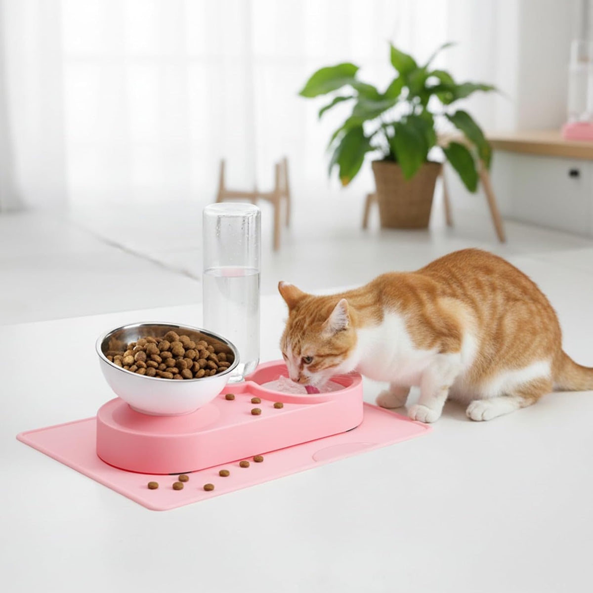 Double Elevated Dog Cat Food Water Bowls, Stainless Steel Cat Food Water Bowl with No-Spill Mat, Raised Tilted Dishes for Indoor Kitten, Puppies, Small or Medium Size Dogs Cats, Pink