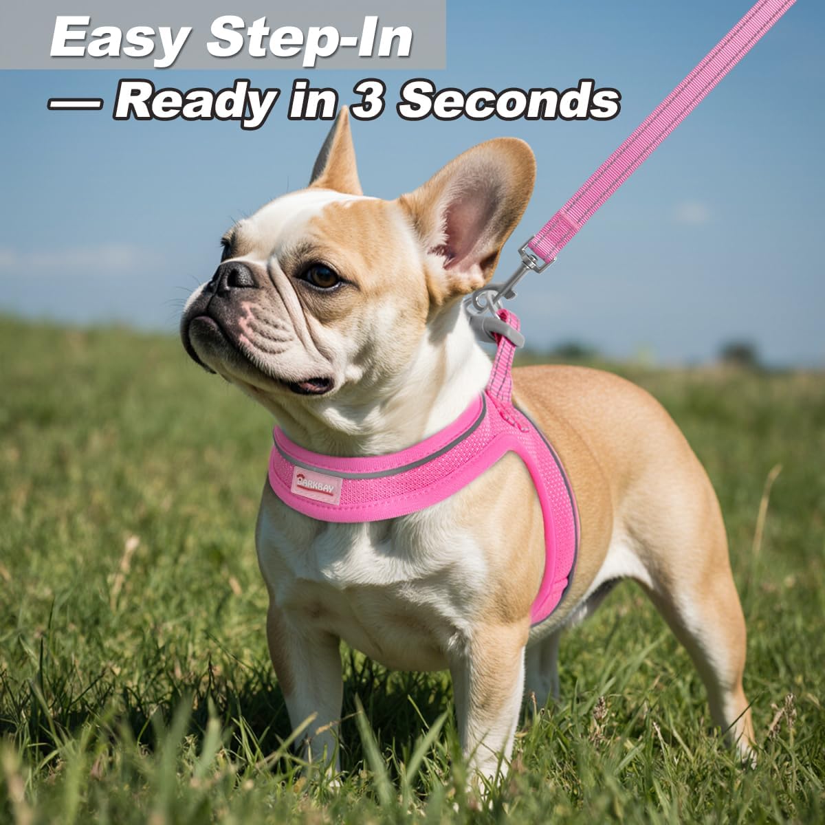 Dog Harness and Leash Set,Step in Small Sized Dog Harness,Soft Mesh,No-Chock,Reflective Adjustable,Secure with Hook & Loop Fastener,Puppy Vest for Small,Medium Dogs(Pink,S)
