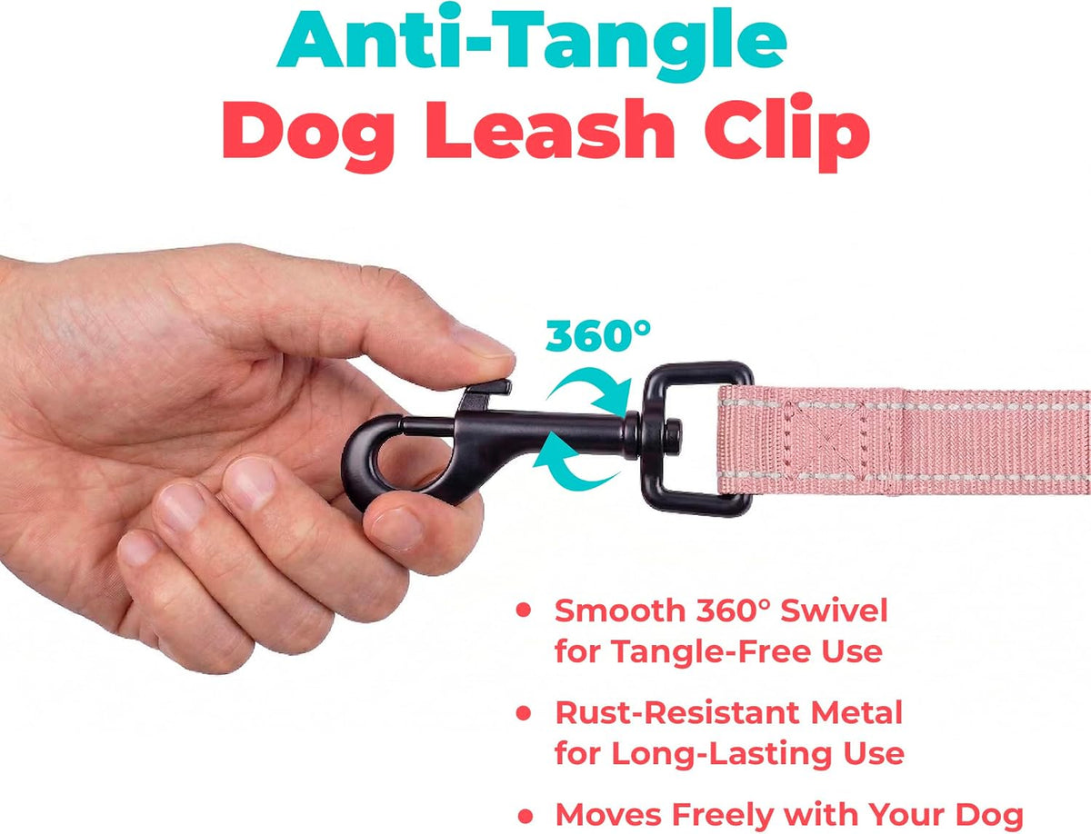 Best Pet Supplies Voyager Nylon Dog Leash - Pink, Small