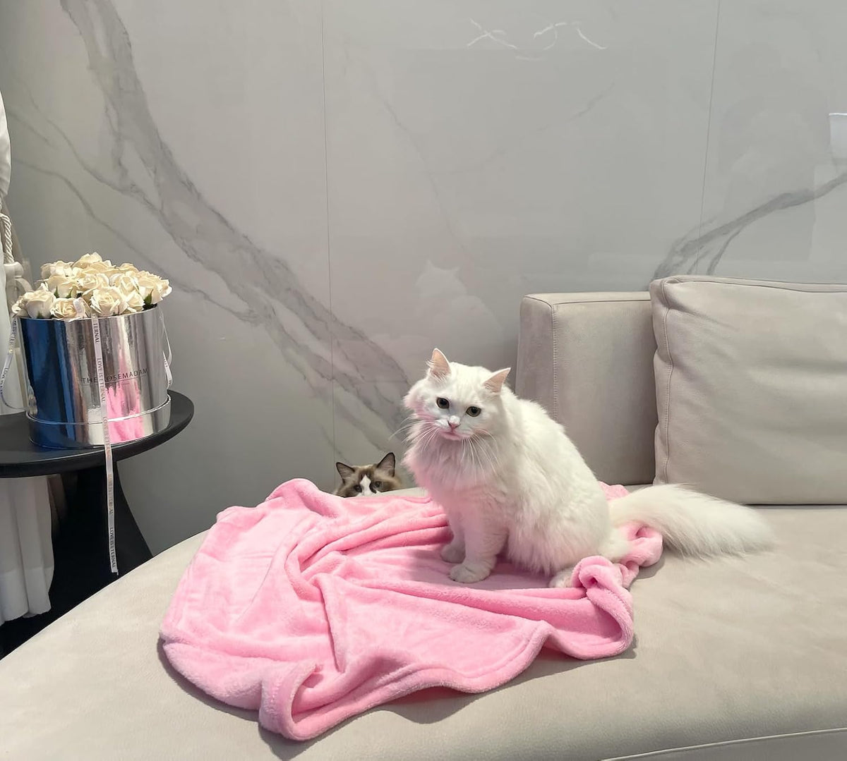 Soft Puppy Flannel Fleece Blanket for Pet Dog Cat, Plush Microfiber, Cozy and Lightweight, Light Pink, Pet, 19 x 27 inch (50 x 70 cm)