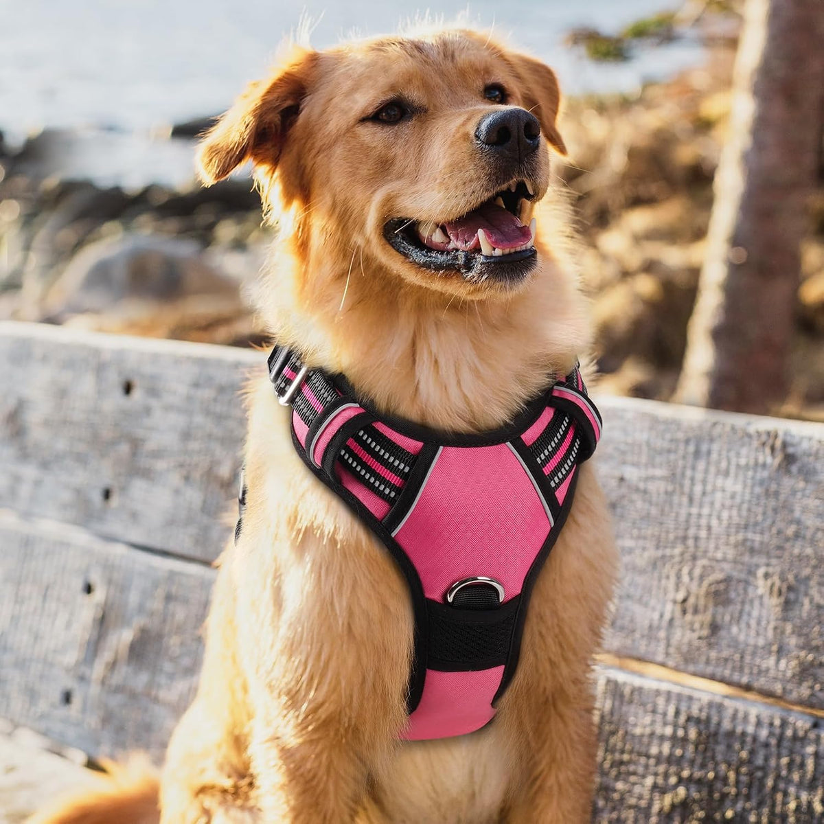 Dog Harness for Large, No Pull 3 Buckles Easy On & Off
