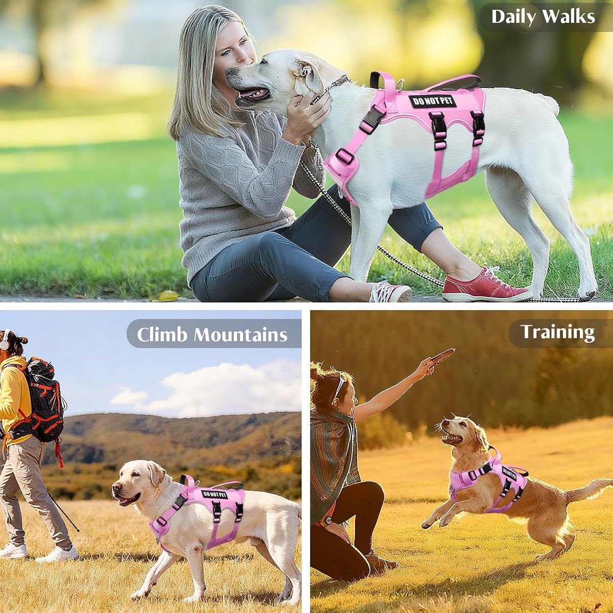Escape Proof Dog Harness with Double Handle+4 Removable Patches