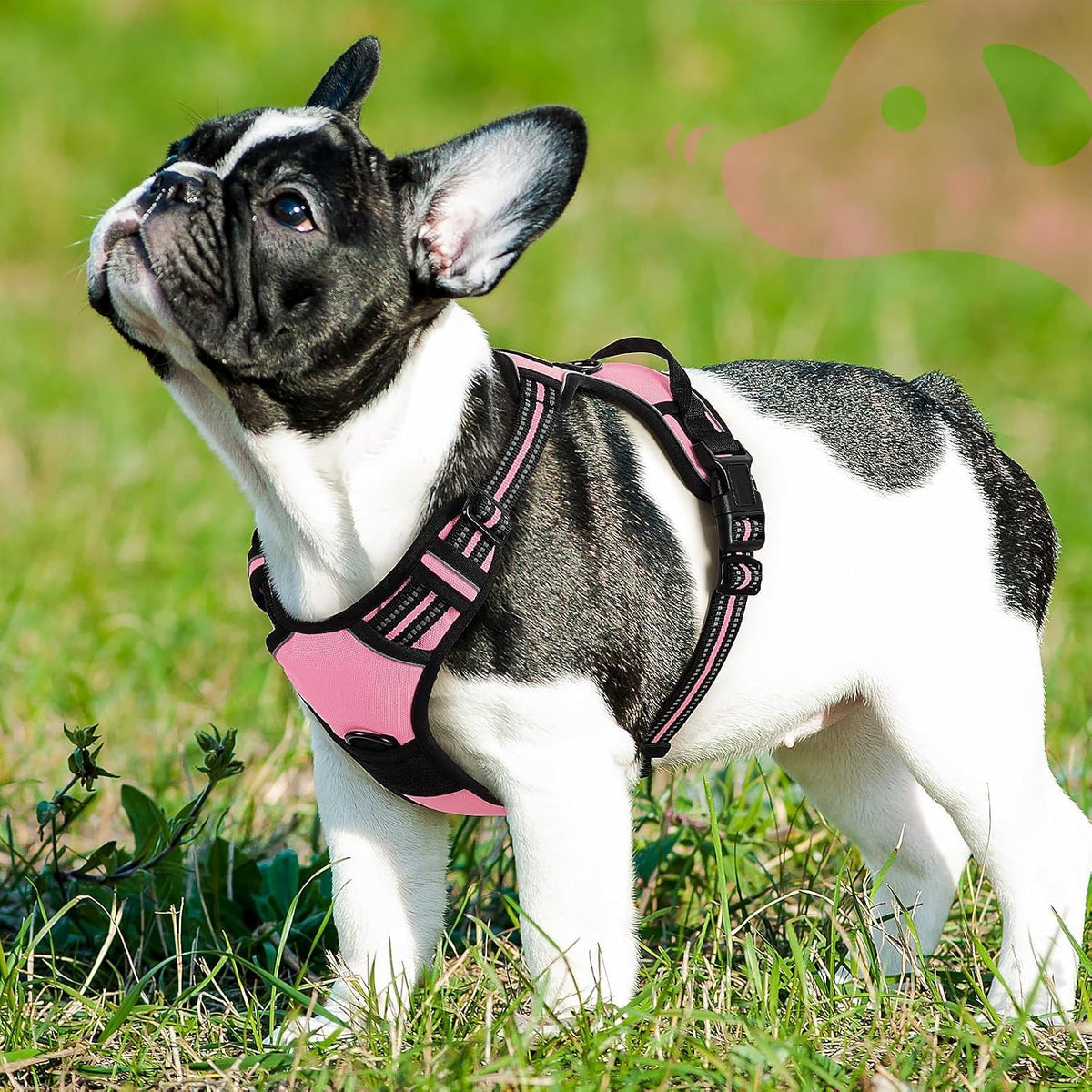 Eagloo Dog Harness for Small Dogs, No Pull Pet Vest with 2 Leash Clips
