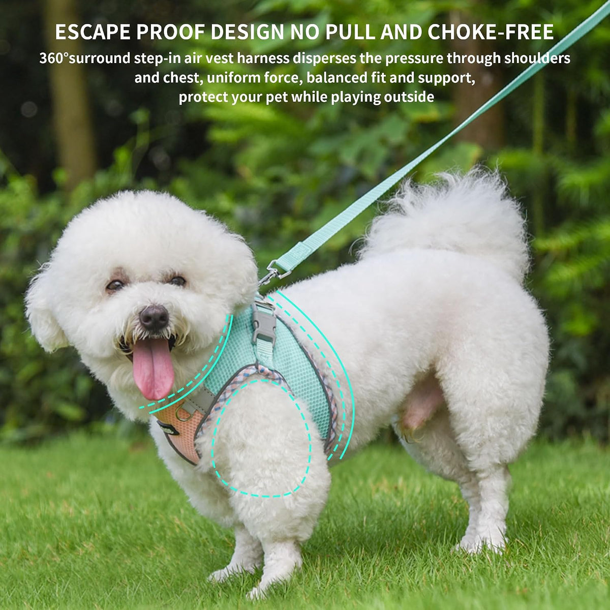 AIITLE Dog Harness Small Sized and Leash Set, Turquoise-Pink XXXS