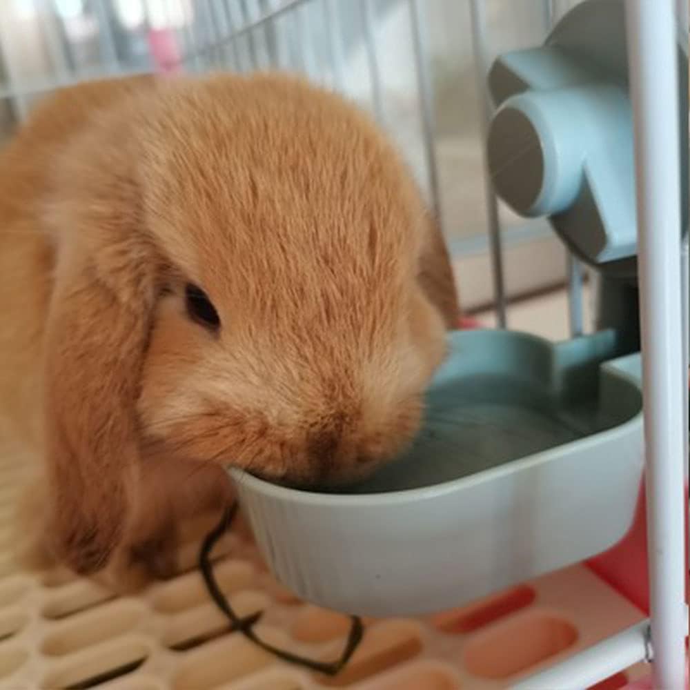 17oz Bunny Water Bottle No Drip for Cage, Hanging Automatic Water Dispenser for Small Animal Guinea Pig Hamster Chinchilla Ferret Rabbit