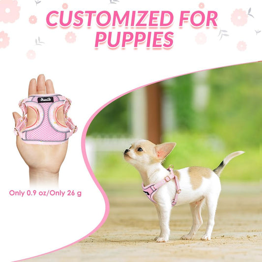 Lukovee No Pull Puppy Harness and Leash Set - Adjustable Lightweight Soft Dog Harness, Reflective Step in Breathable Mesh Vest with 51in Leash for Walking Hiking Small Medium Dogs (Pink, XXS)