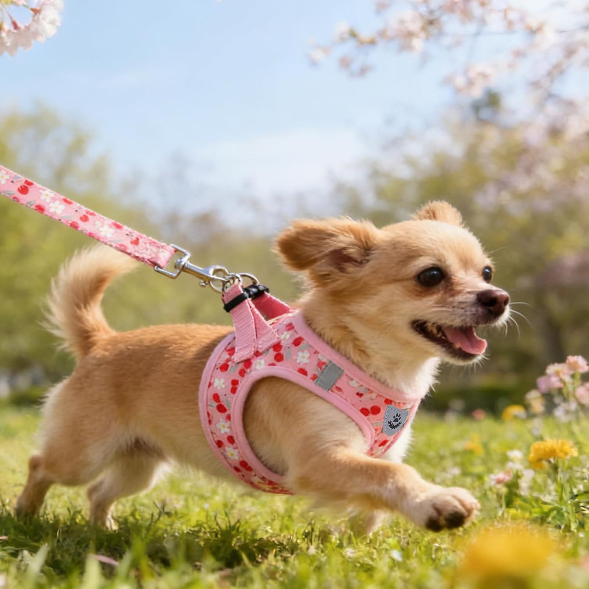Dog Harness for Small Medium Dogs,Dog Harness and Leash Set, Step in No Pull Soft Mesh Padded Adjustable and Reflective Pet Vest Harness Puppy, Plaid Extra Harness for XS S Dogs,Pink Cherry,M