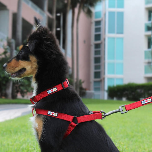 Solid Step-in Dog Harness – Adjustable No-Pull Vest for Puppies to Seniors, Safe & Comfortable M Pink