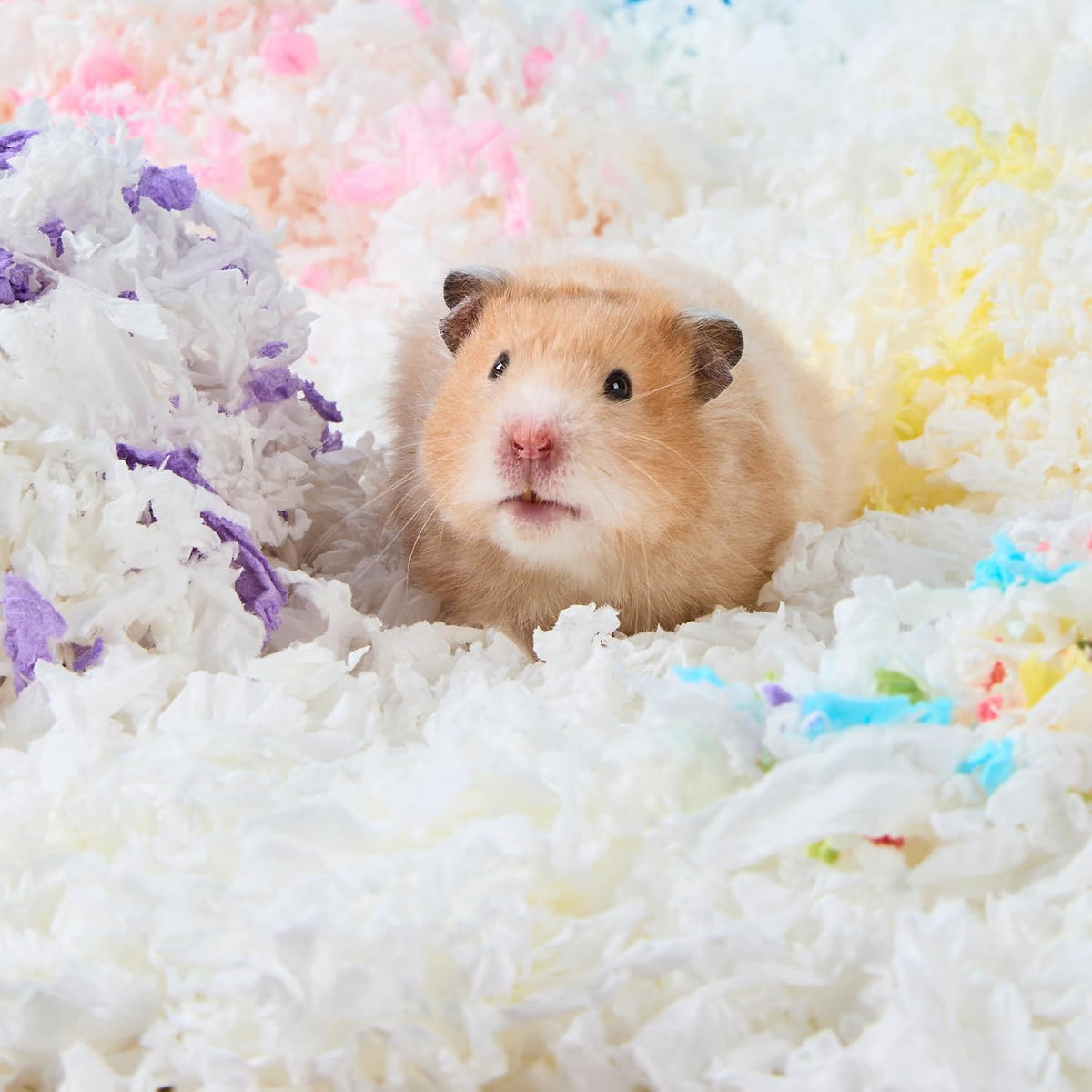 99% Dust-Free Soft Natural Paper Bedding with Odor Control, for Hamsters, Guinea Pigs,Rabbits, Chinchillas, Rats, Mice, Gerbils, Bunniess, Rodents, Small Animals - 80 Liters (White + Pink)