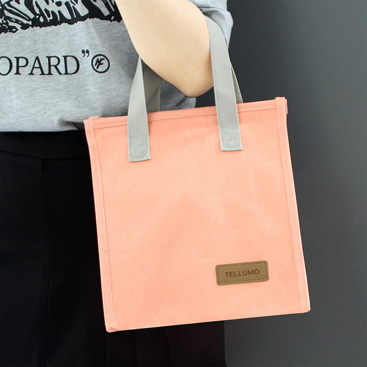 TELLUMO Insulated Lunch Bag for Men Women, Large Reusable Leakproof Lunch Box Container, Small Portable Thermal Snack Bag, Reusable Travel Office Work Beach Cooler Tote Bag for Adults, Pink