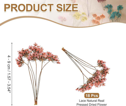 18 Pcs Natural Dried Pressed Flowers for Craft, Lace Real Pressed Dried Flowers Colorful Bouquets for Resin Moulds DIY Scrapbooking Candle Jewelry Making, Pink