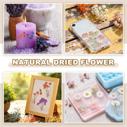18 Pcs Natural Dried Pressed Flowers for Craft, Lace Real Pressed Dried Flowers Colorful Bouquets for Resin Moulds DIY Scrapbooking Candle Jewelry Making, Pink