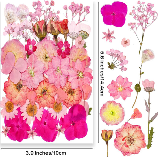 15 Types 37pcs Pink Dried Pressed Flowers for Resin Molds,Real Natural Pressed Flowers for DIY Art Crafts,Candle Making, Nails Décor,Soap Making, Phone Case