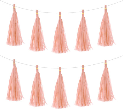 15Pcs Peach Pink Tassel Garland Banner with Rope Tissue Paper Tassels Party DIY Kits for Anniversary Wedding Birthday Party