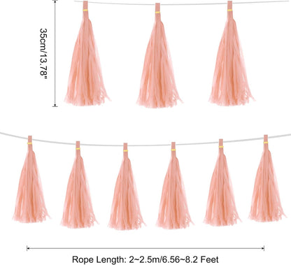 15Pcs Peach Pink Tassel Garland Banner with Rope Tissue Paper Tassels Party DIY Kits for Anniversary Wedding Birthday Party