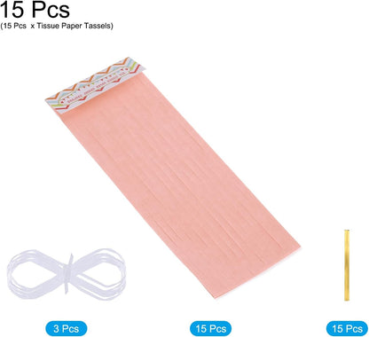 15Pcs Peach Pink Tassel Garland Banner with Rope Tissue Paper Tassels Party DIY Kits for Anniversary Wedding Birthday Party