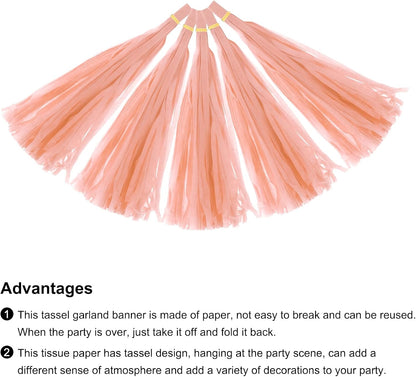 15Pcs Peach Pink Tassel Garland Banner with Rope Tissue Paper Tassels Party DIY Kits for Anniversary Wedding Birthday Party