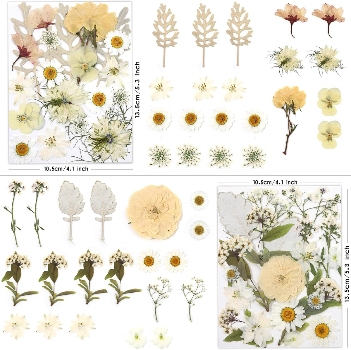 80P White Pink Dried Pressed Flowers