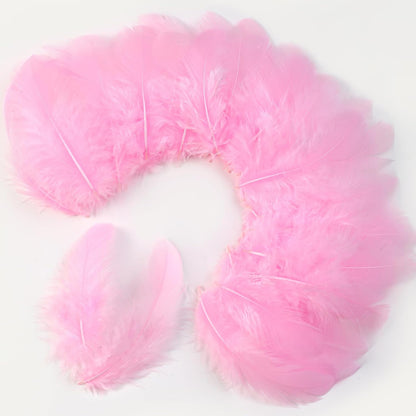 Light Pink Craft Feathers Bulk for Crafting Supplies,300Pcs,3-5inch