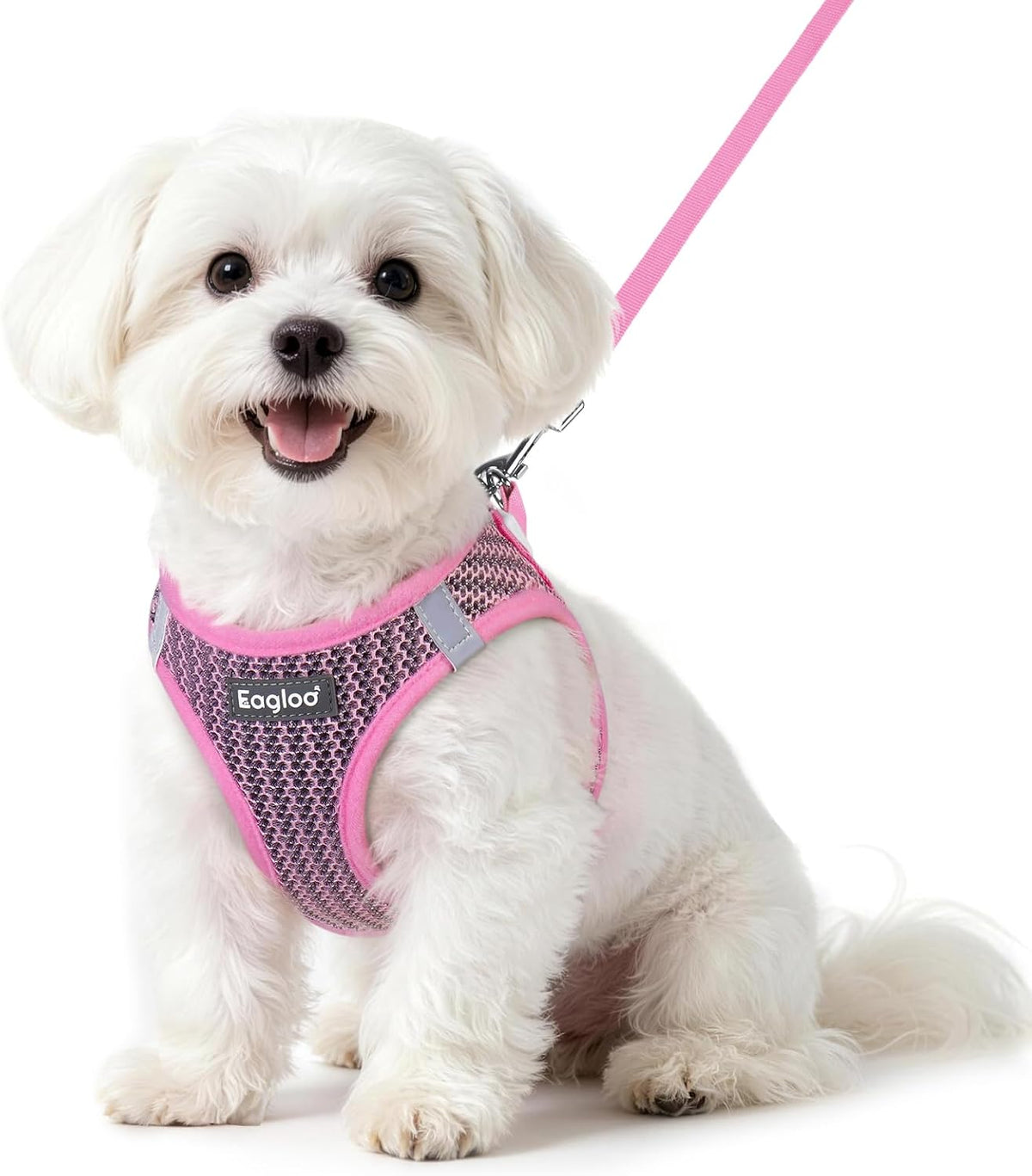 Eagloo Small Dog Harness and Leash Set, Step in Small Sized Puppy Pet Vest