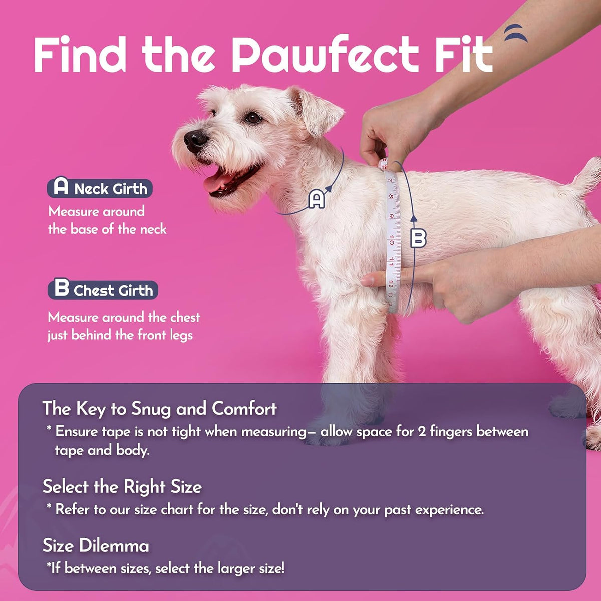 Eagloo Small Dog Harness and Leash Set, Step in Small Sized Puppy Pet Vest
