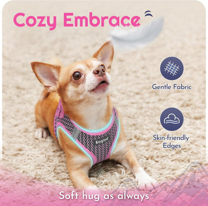 Eagloo Small Dog Harness and Leash Set, Step in Small Sized Puppy Pet Vest
