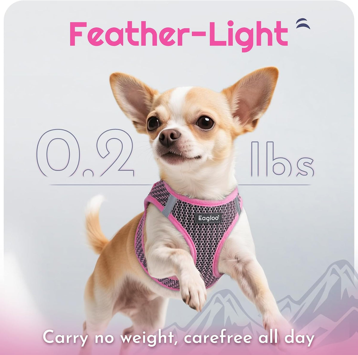Eagloo Small Dog Harness and Leash Set, Step in Small Sized Puppy Pet Vest
