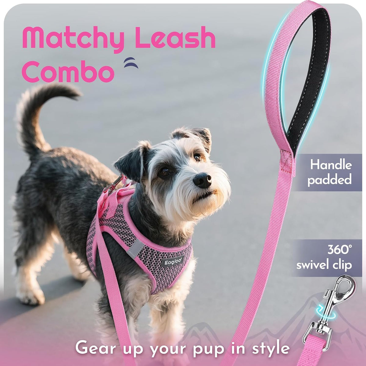 Eagloo Small Dog Harness and Leash Set, Step in Small Sized Puppy Pet Vest