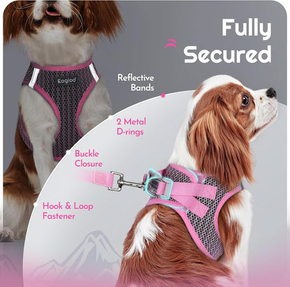 Eagloo Small Dog Harness and Leash Set, Step in Small Sized Puppy Pet Vest
