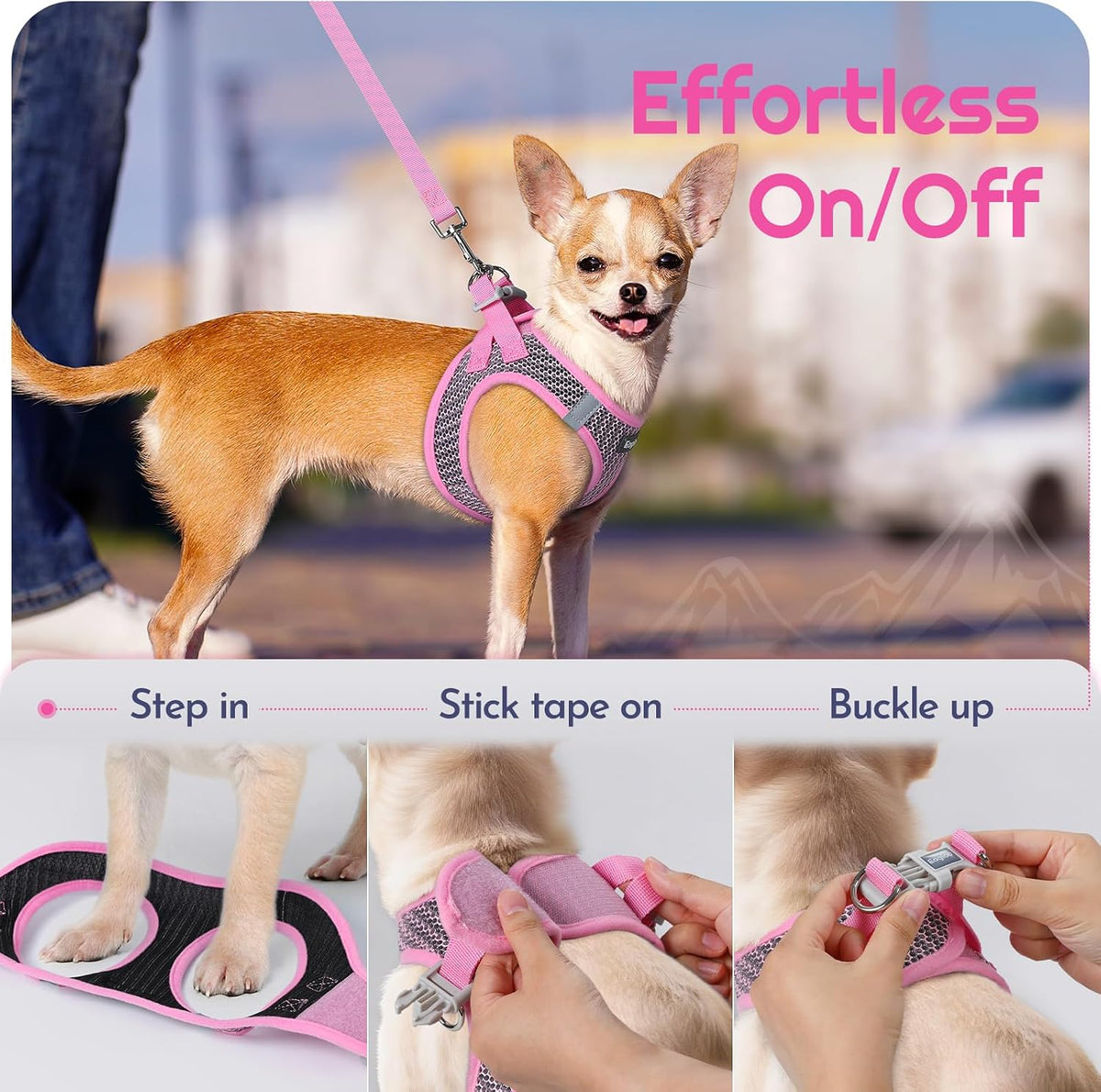 Eagloo Small Dog Harness and Leash Set, Step in Small Sized Puppy Pet Vest
