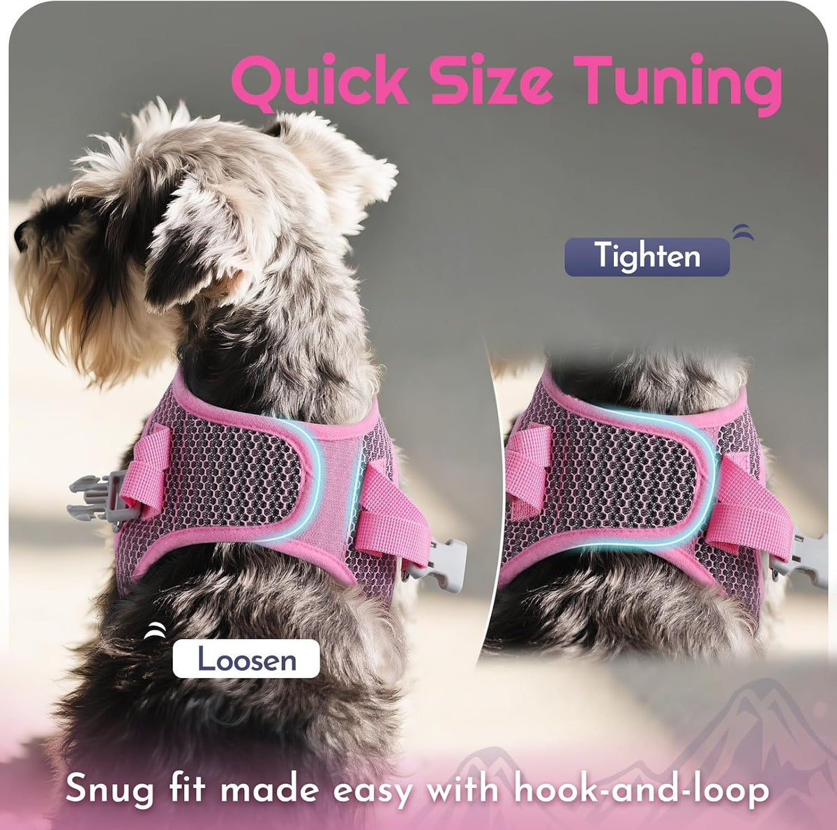 Eagloo Small Dog Harness and Leash Set, Step in Small Sized Puppy Pet Vest