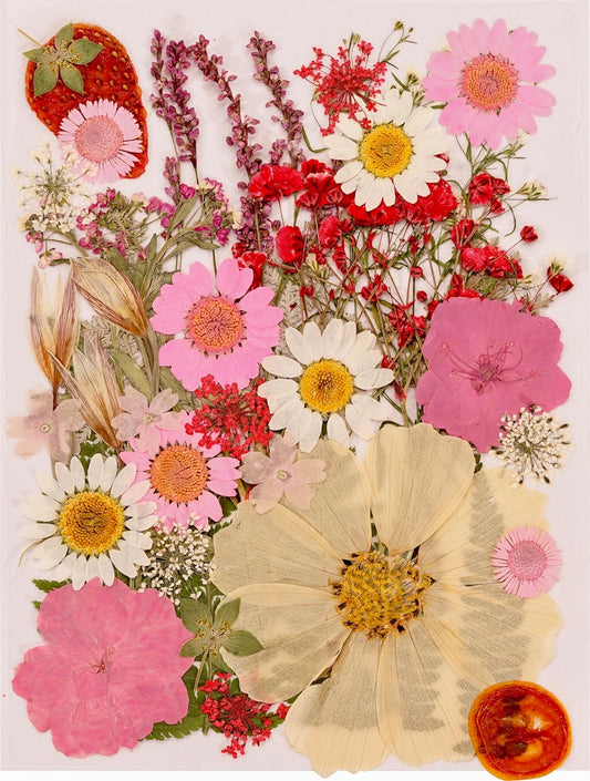 48 Pcs Real Dried Pressed Flowers Bulk Kit - Vacuum Packed Natural Petals for Resin Jewelry，DIY Candle/Soap/Photo Frame/Scrapbook Craft Making, Art Decorations (Colorful Style) (Peach Pink)