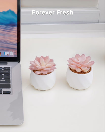 Mini Succulents Plants Artificial in Pots-Pink, Christmas Small Fake Succulents Plants for Home Decor Indoor for Women, White Ceramic Faux Succulents, Set of 2, Gifts for Mom