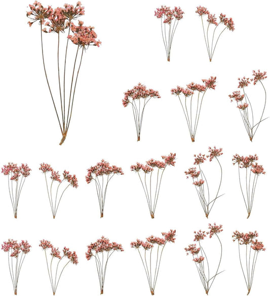 18 Pcs Natural Dried Pressed Flowers for Craft, Lace Real Pressed Dried Flowers Colorful Bouquets for Resin Moulds DIY Scrapbooking Candle Jewelry Making, Pink