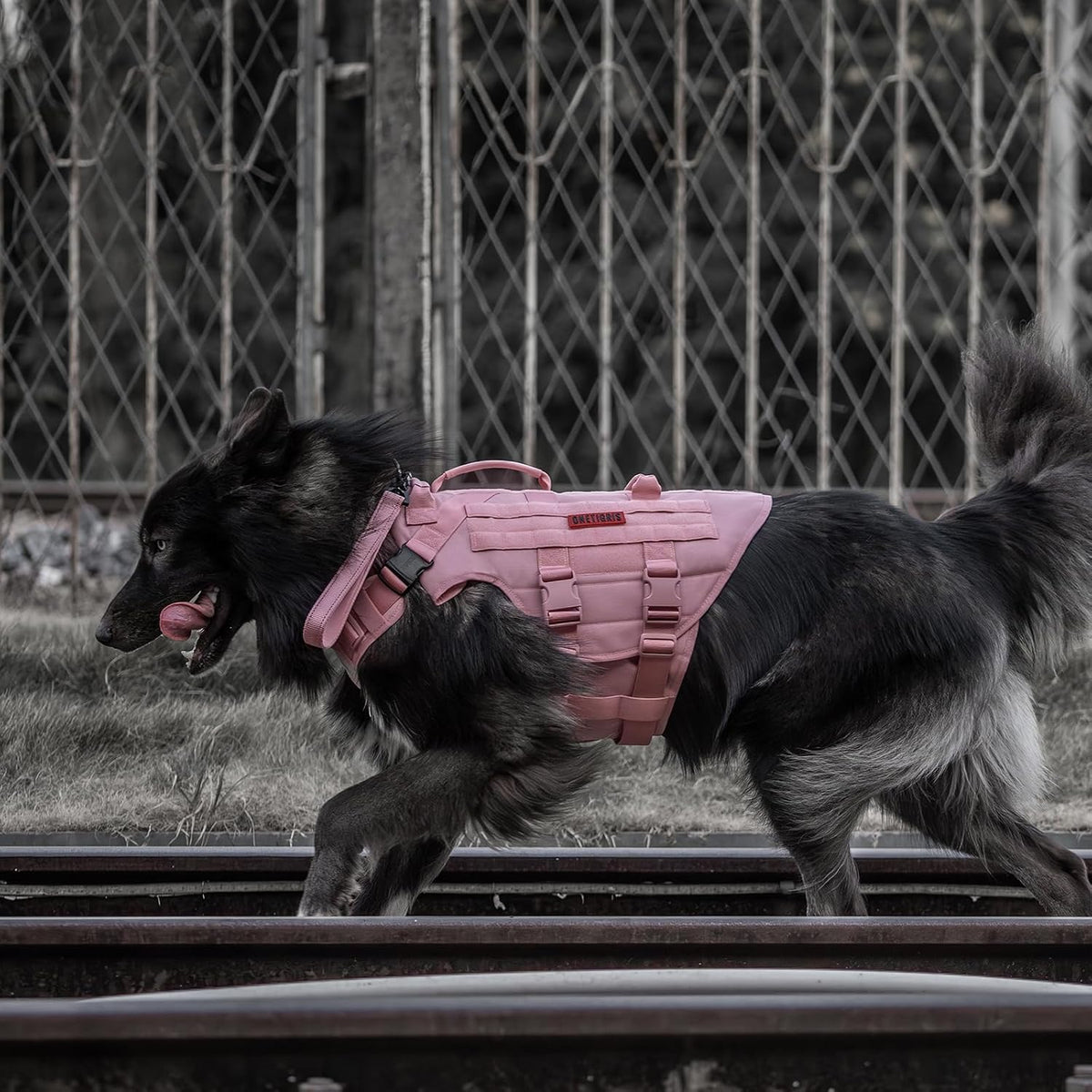 Large Tactical Dog Harness No Pull Handle S Pink