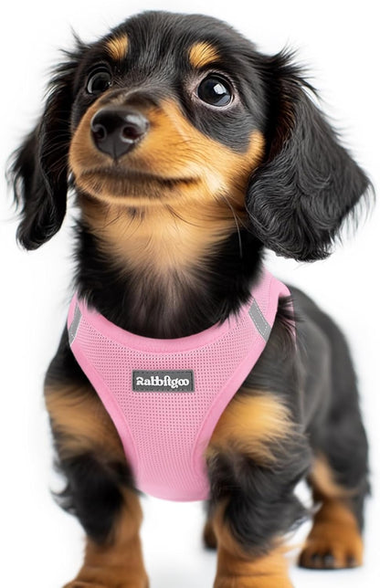 Step-in Small Dog Harness, Puppy Vest for Small Sized Pet