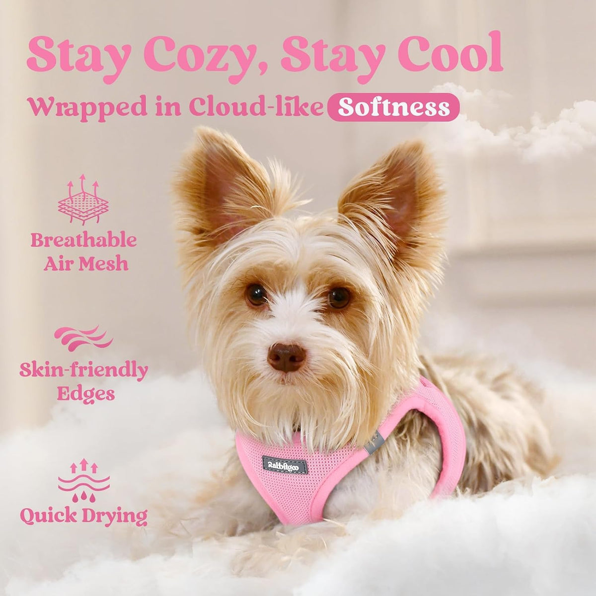 Step-in Small Dog Harness, Puppy Vest for Small Sized Pet