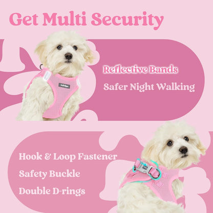 Step-in Small Dog Harness, Puppy Vest for Small Sized Pet