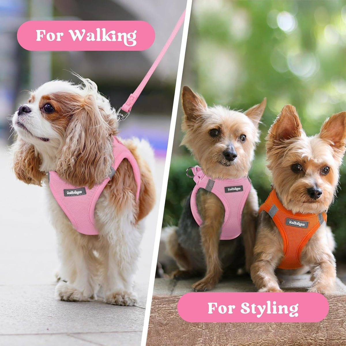 Step-in Small Dog Harness, Puppy Vest for Small Sized Pet