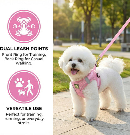 Dog Harness with Leash Set, No Pull Adjustable Reflective Step-in Puppy Harness with Thickened Padded Vest for Extra-Small/Small Medium Dogs (Pink, Medium)