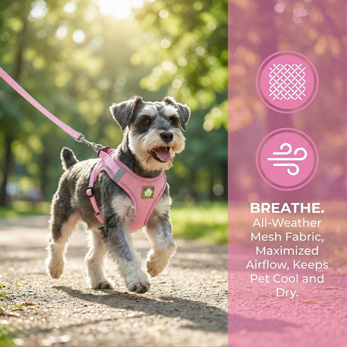 Dog Harness with Leash Set, No Pull Adjustable Reflective Step-in Puppy Harness with Thickened Padded Vest for Extra-Small/Small Medium Dogs (Pink, Medium)