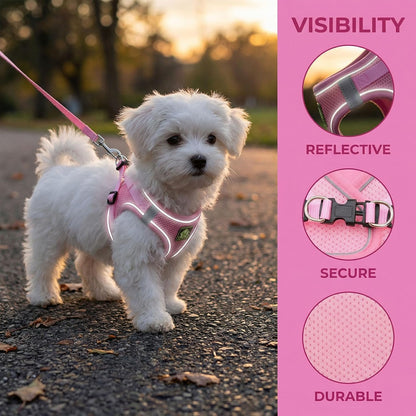 Dog Harness with Leash Set, No Pull Adjustable Reflective Step-in Puppy Harness with Thickened Padded Vest for Extra-Small/Small Medium Dogs (Pink, Medium)