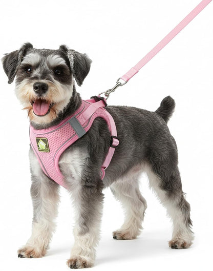 Dog Harness with Leash Set, No Pull Adjustable Reflective Step-in Puppy Harness with Thickened Padded Vest for Extra-Small/Small Medium Dogs (Pink, Medium)