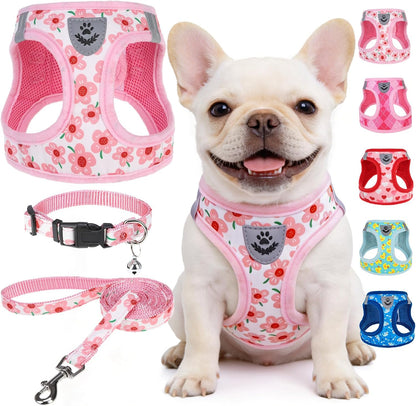 Small Dog Harness Collar and Leash Set,Cute Puppy Harness No Pull