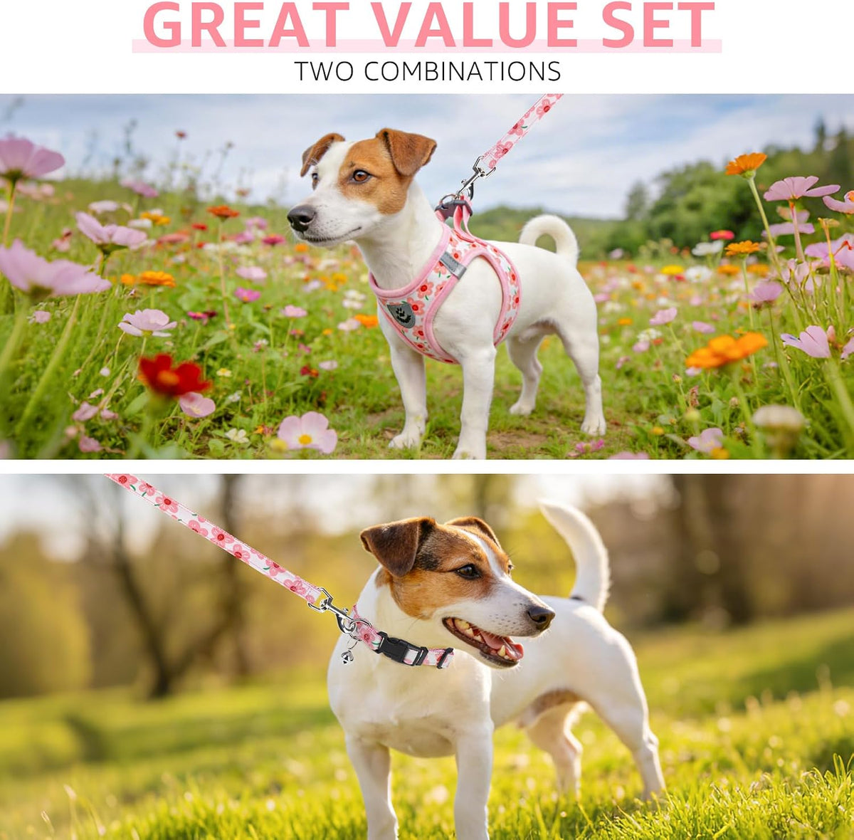 Small Dog Harness Collar and Leash Set,Cute Puppy Harness No Pull